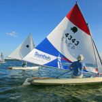 sunfish going upwind