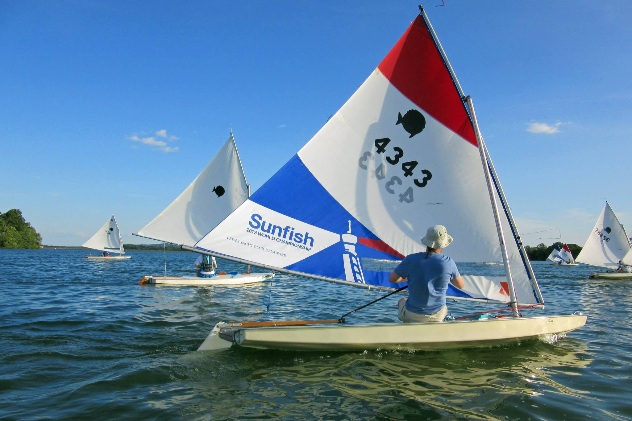 sunfish going upwind